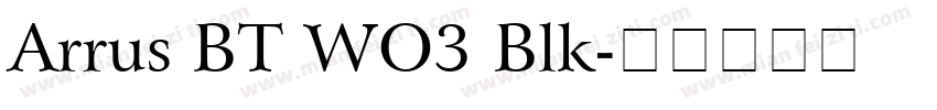 Arrus BT WO3 Blk字体转换